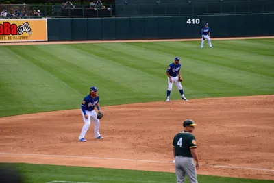 DSC_1546 (Large).JPG